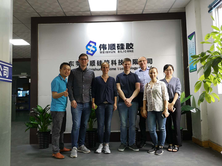 德国客户来草莓视频色板APP官网下载参观洽谈业务